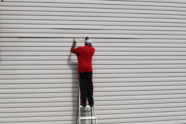 Best Fascia and Soffit Installation  in Zuni Pueblo, NM